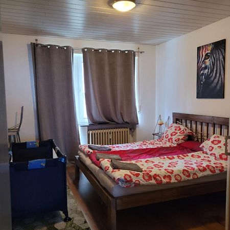 Apartments Nikol - Ludwigshafen المظهر الخارجي الصورة